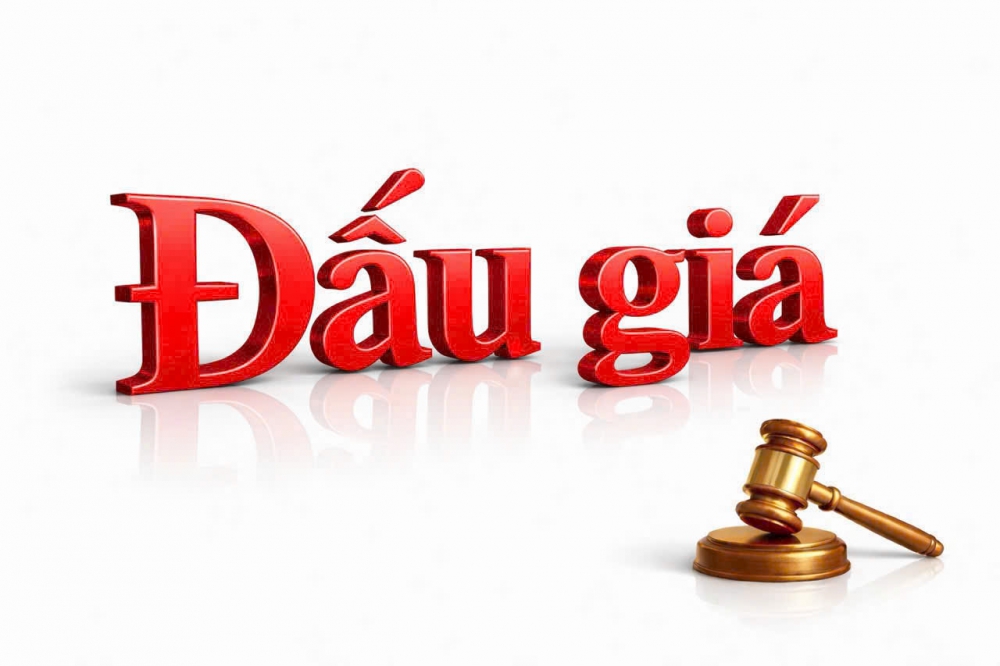 Thông báo đấu giá tài sản - QSDĐ tại phường Đông Gia Nghĩa (Lô G2-18 Lần 2)